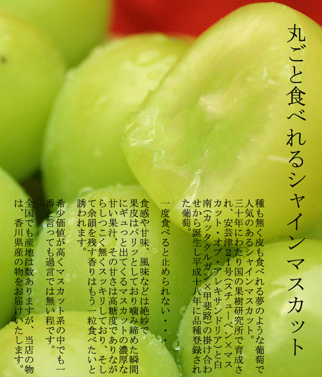 シャインマスカット家庭用パック300g | 夏 Summer fruits,シャインマスカット | | フルーツショップオザキ